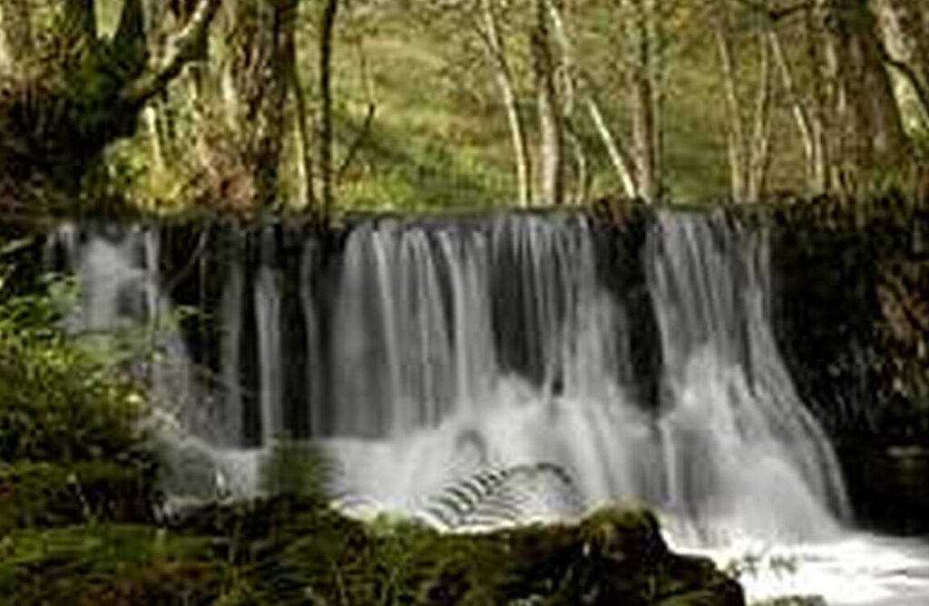 Alquiler de coches en A Pobra do Brollón, Lugo (España)