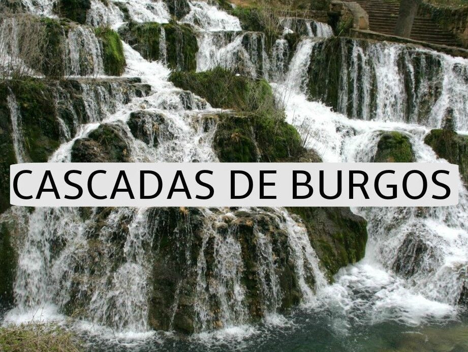 Alquiler de coches en Aguas Cándidas, Burgos (España)