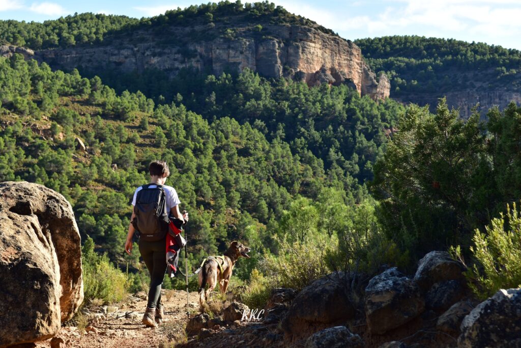 Alquiler de coches en Aguilar del Alfambra, Teruel (España)