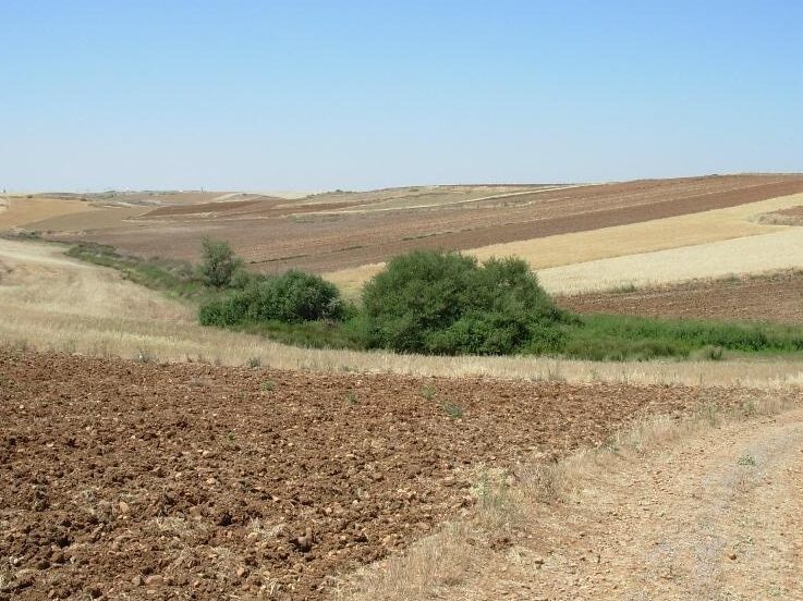 Alquiler de coches en Ajalvir, Madrid (España)
