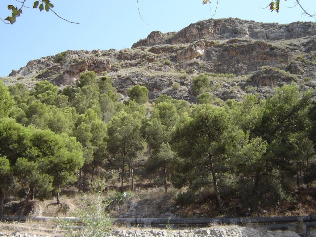 Alquiler de coches en Alhama de Almería, Almería (España)