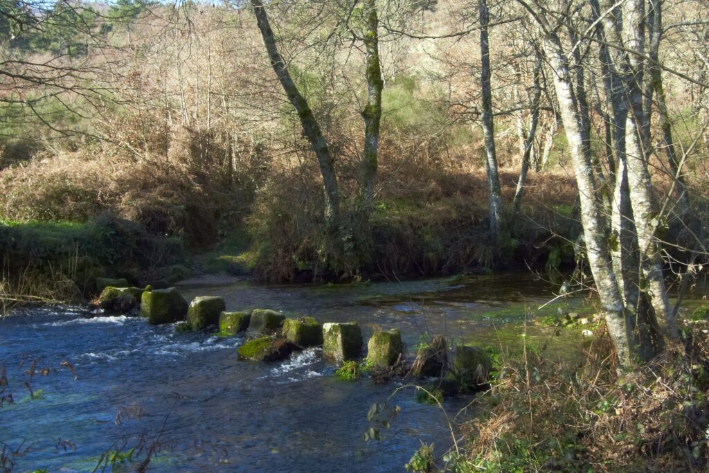 Alquiler de coches en Amoeiro, Ourense (España)