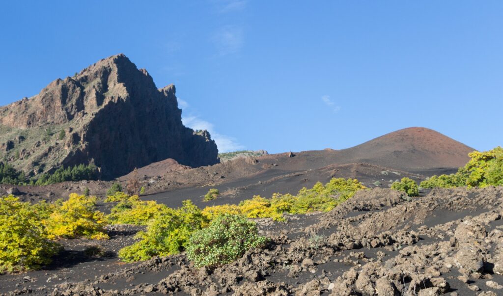 Alquiler de coches en Arafo, Tenerife (España)
