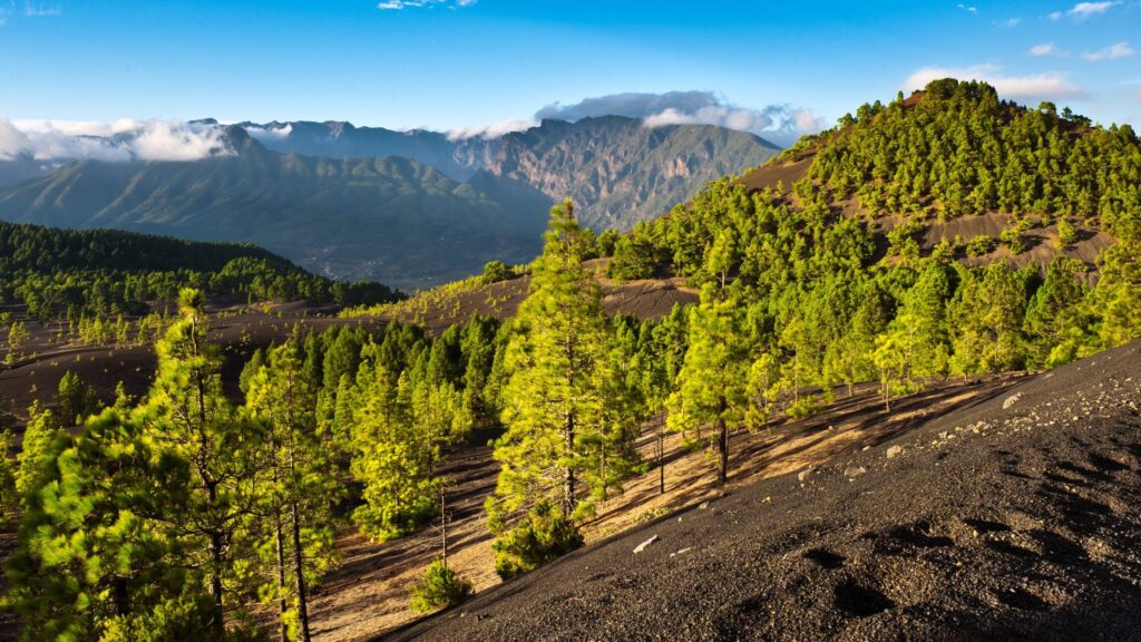 Alquiler de coches en El Paso, La Palma (España)
