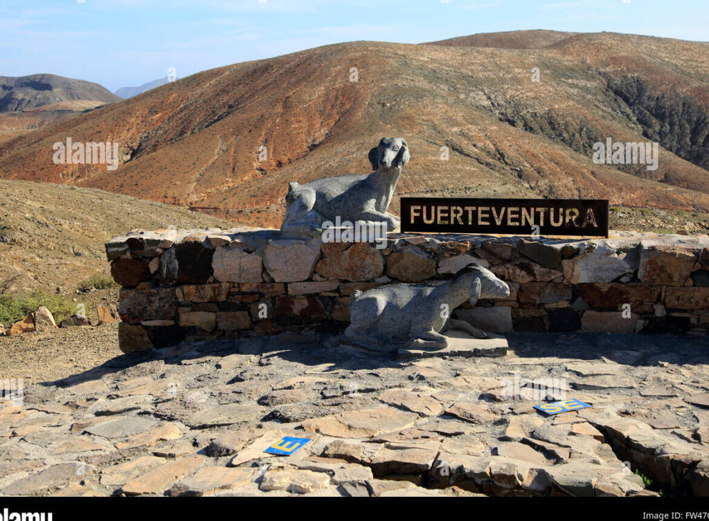 Alquiler de coches en Pájara, Fuerteventura (España)