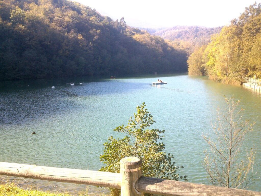 Alquiler de coches en Arrigorriaga, Bizkaia (España)